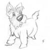 Chien -La Belle et le Clochard-